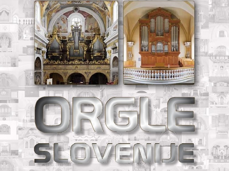 Orgle Slovenije
